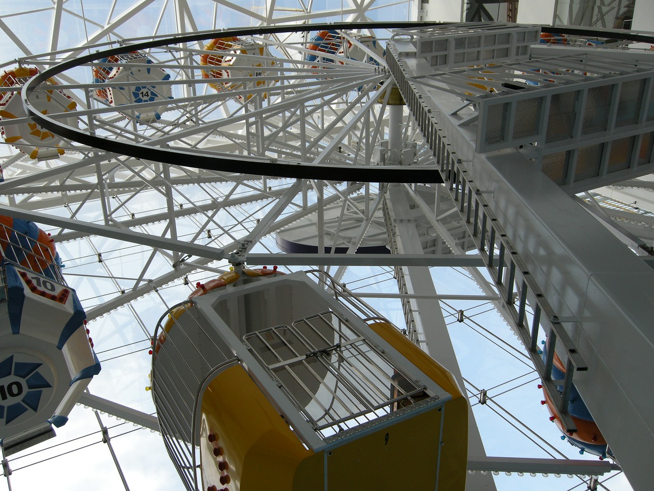 entertainment ferris wheel fun free photo