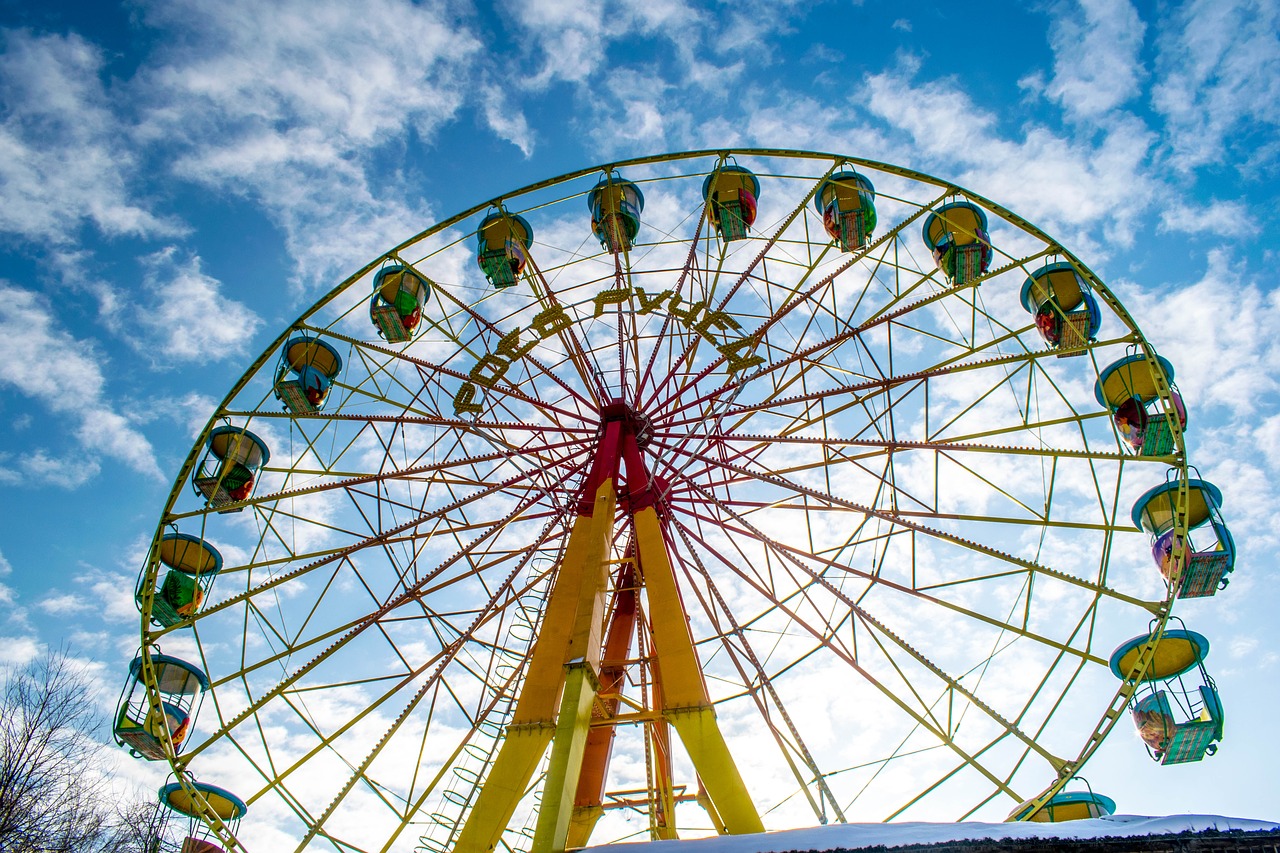 entertainment  carnival  carousel free photo