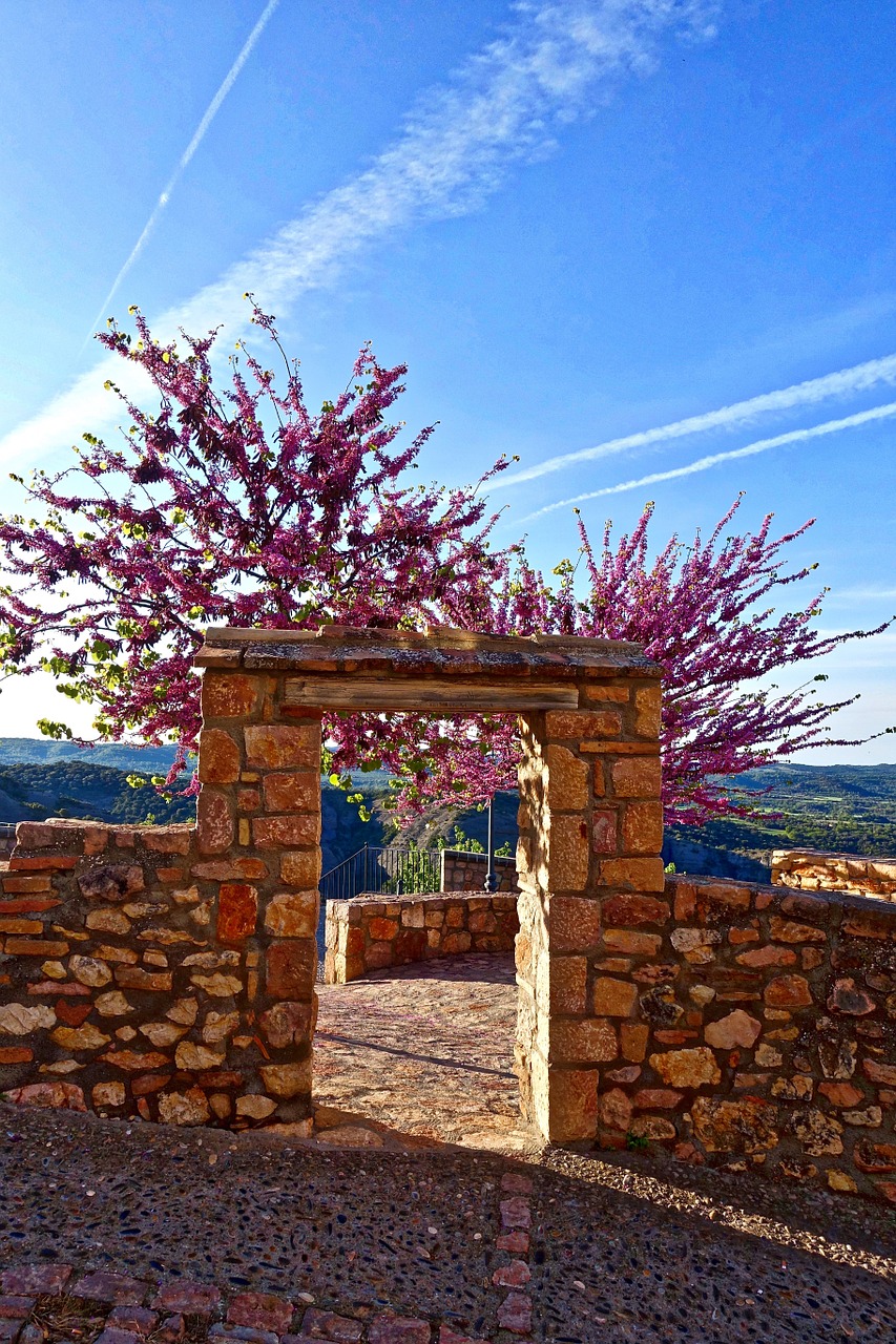 entrance frame archway free photo