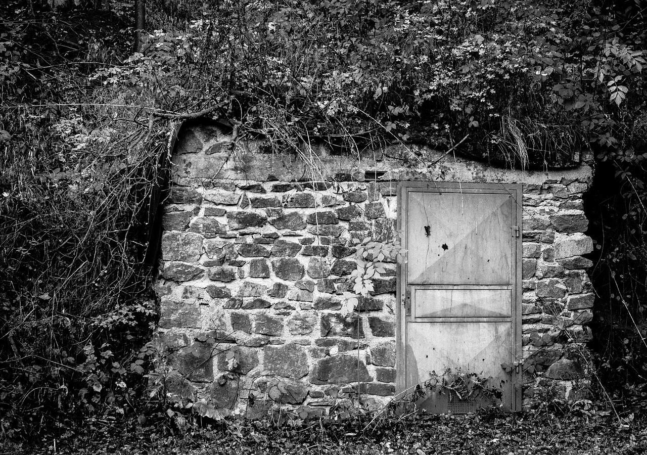 entrance door scary free photo