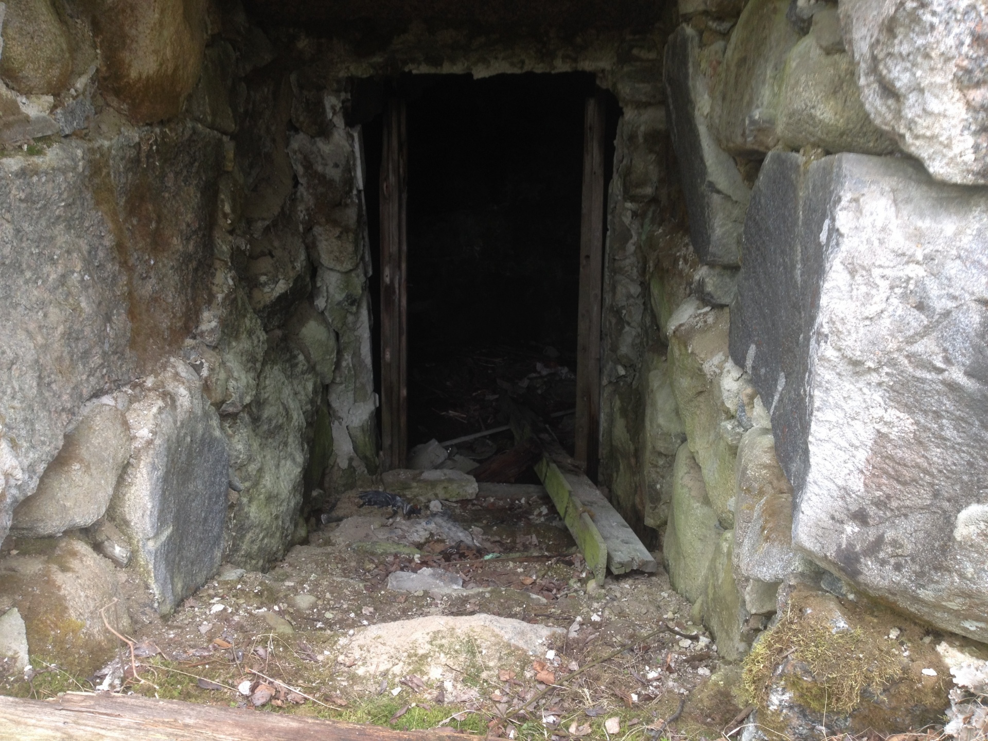 cellar entrance old free photo