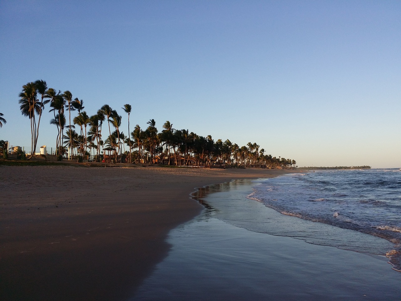 environment brazil beach free photo