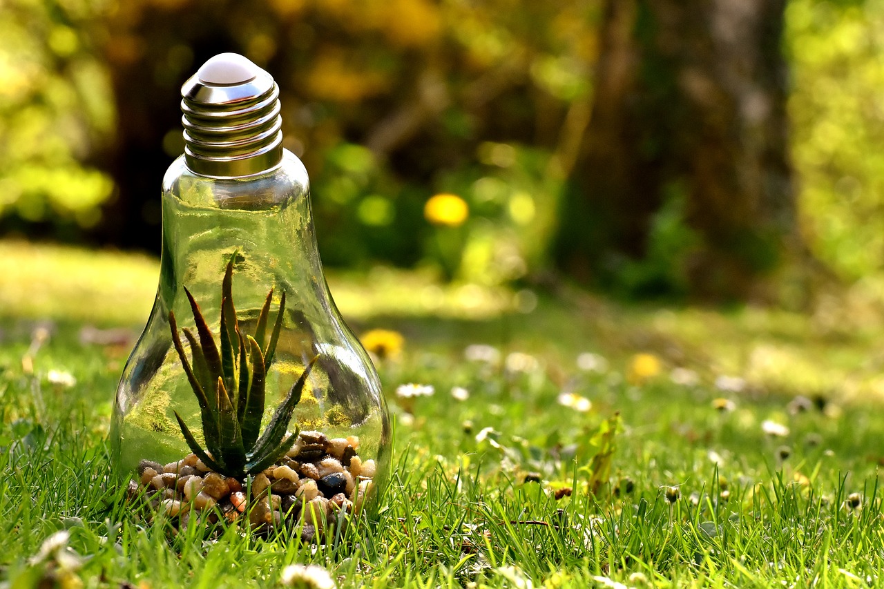 environmental protection  nature  light bulb free photo