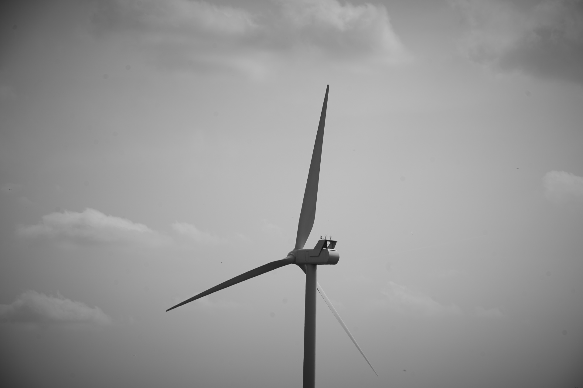 wind electricity technology free photo