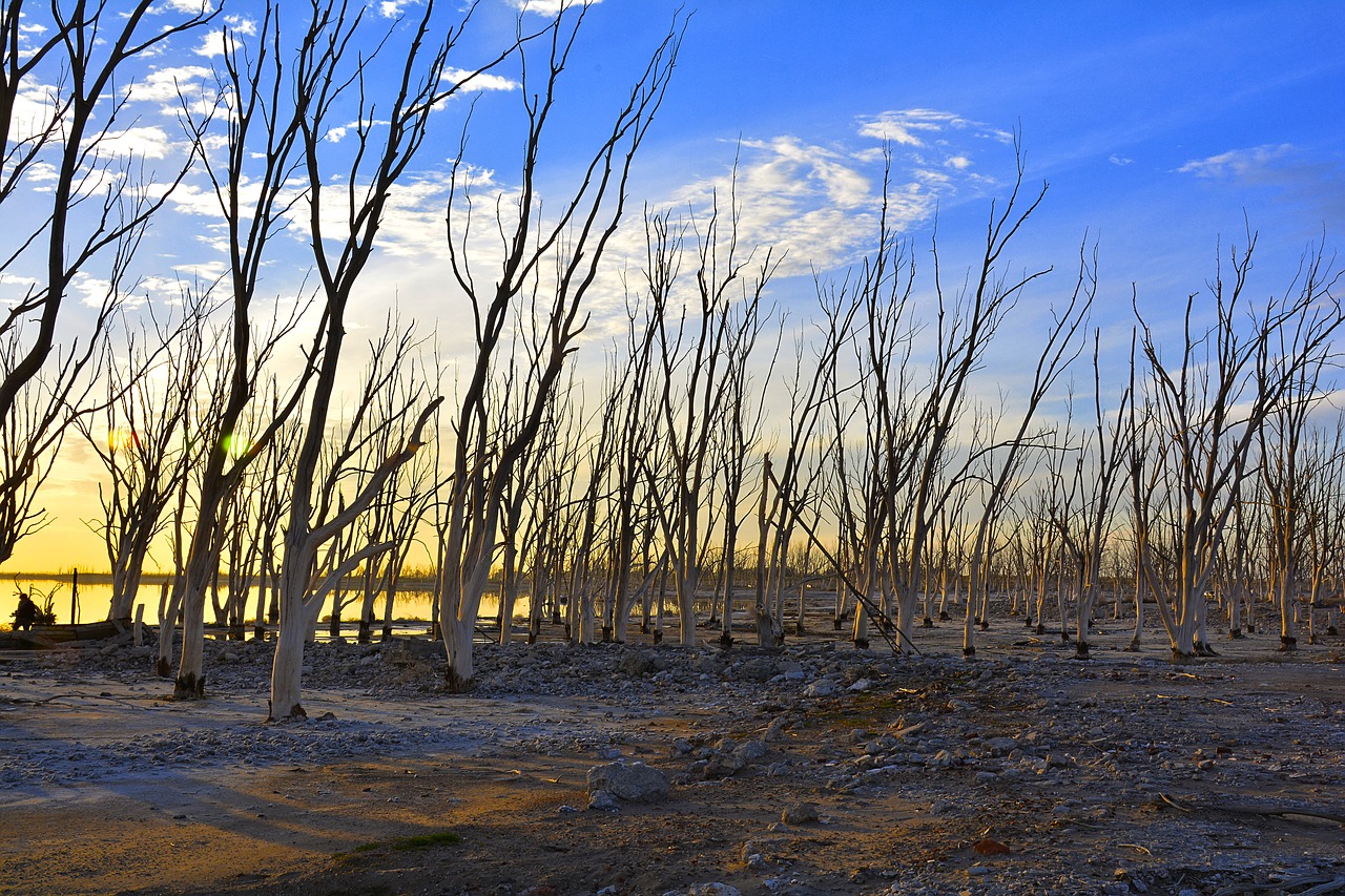 epecuen  buenos aires  argentina free photo