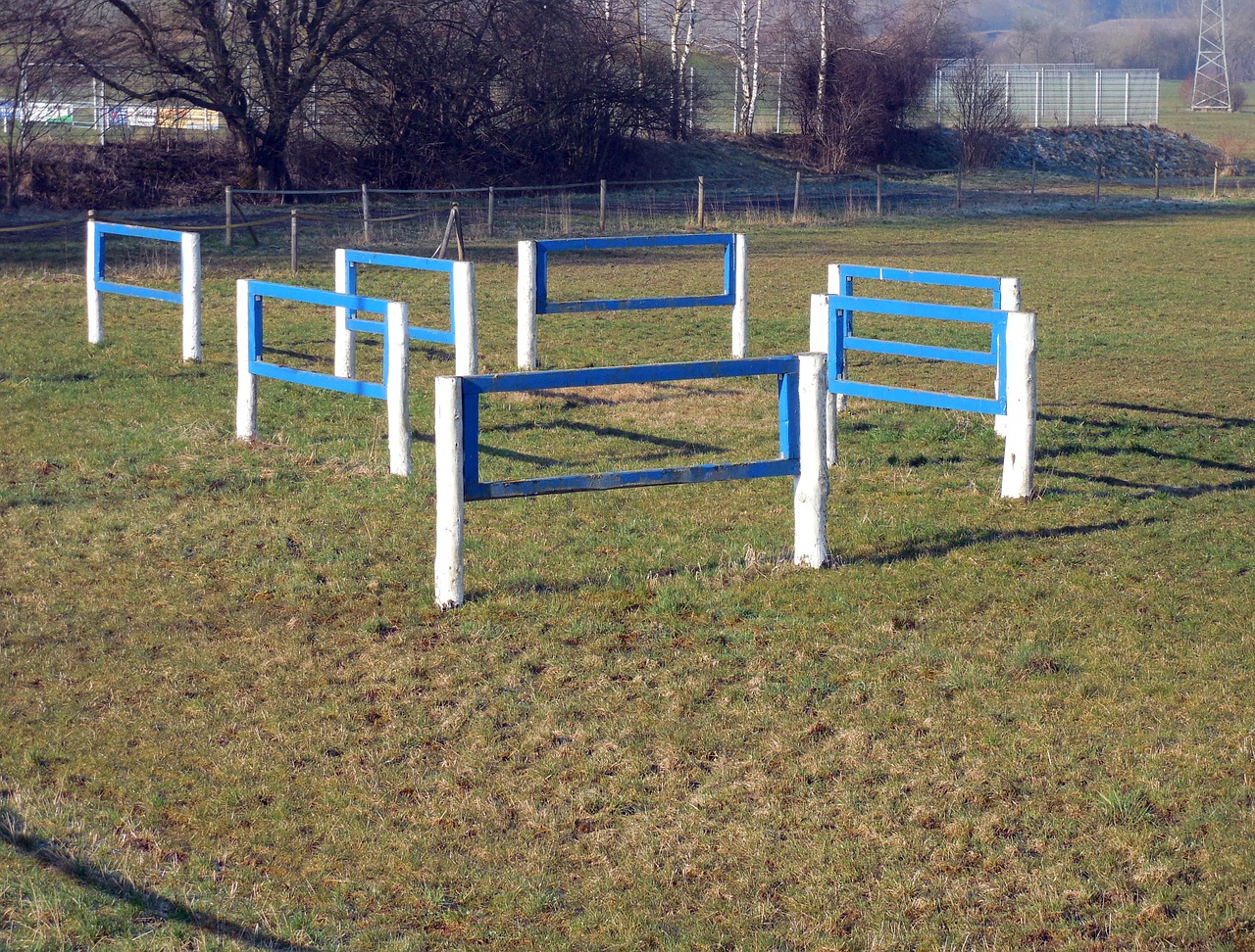 equestrian obstacle hurdle free photo