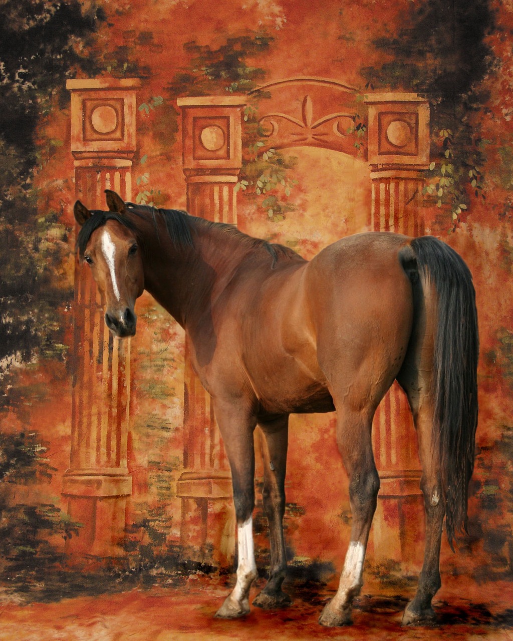 equine horse stallion free photo
