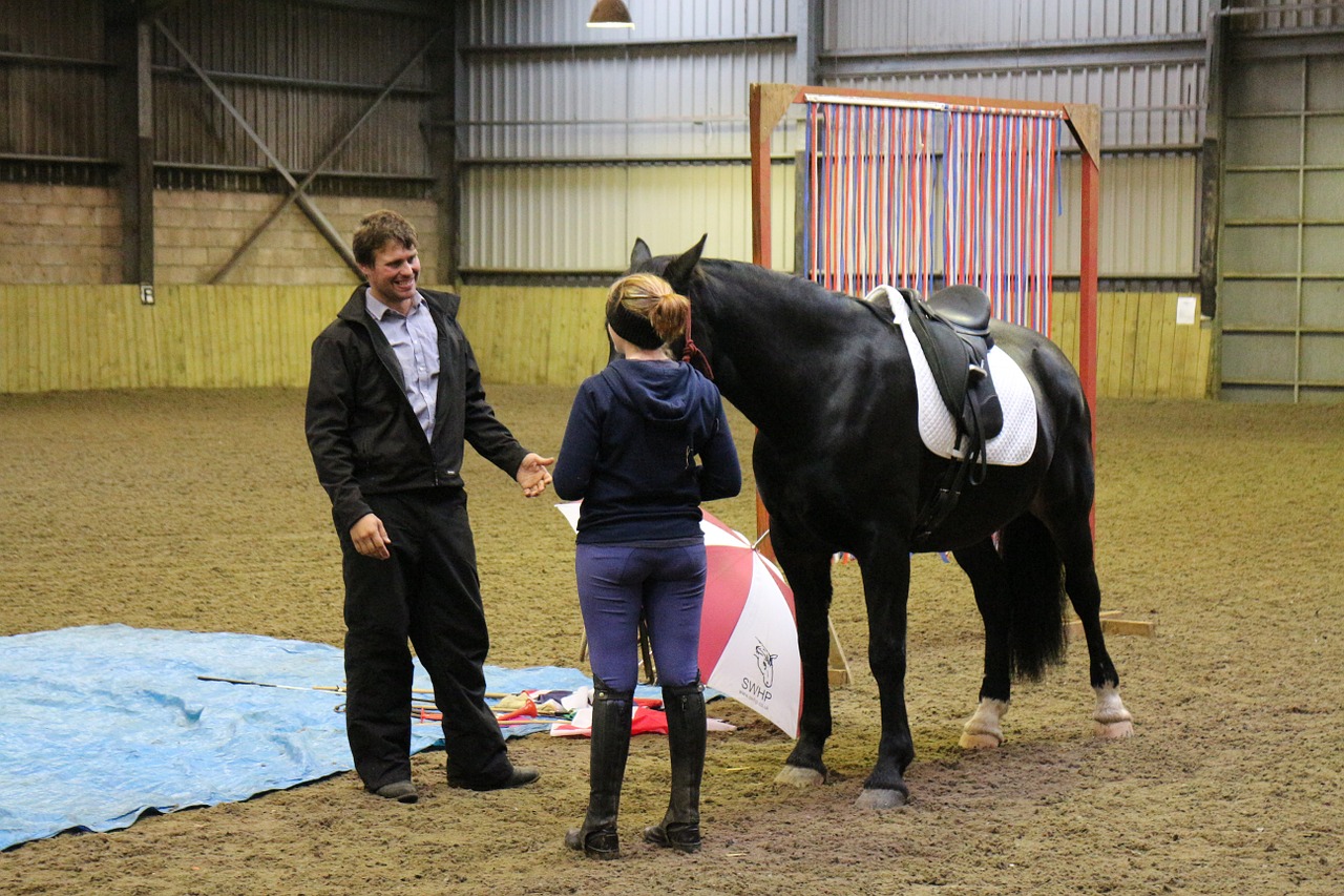 equine horsemanship horse free photo