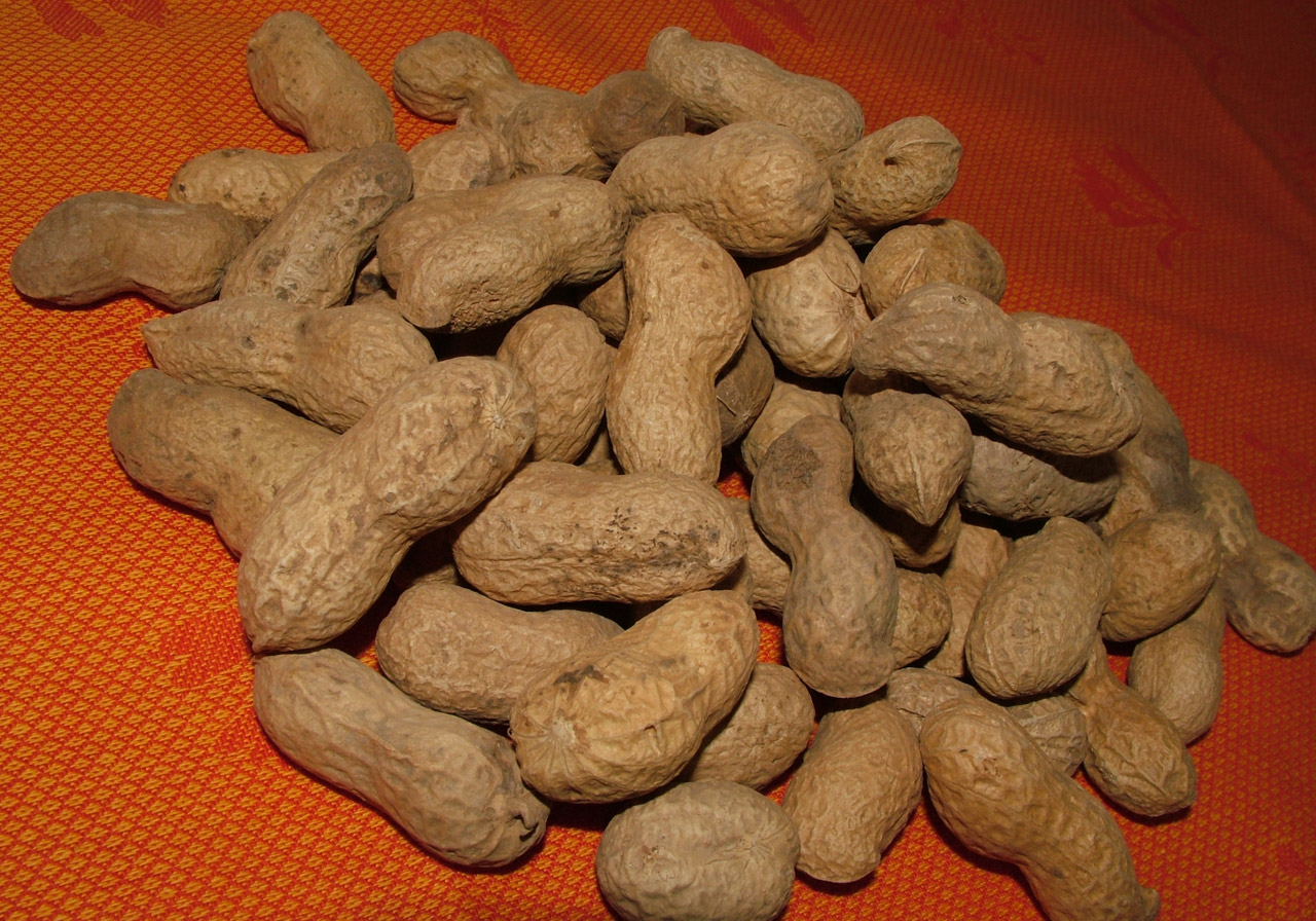 peanuts health snack free photo