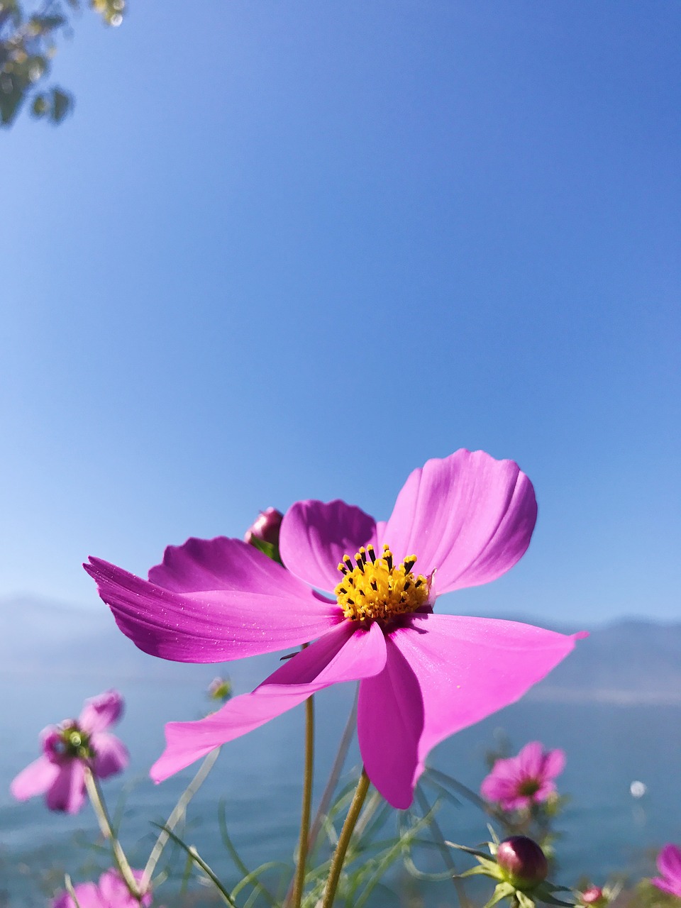 erhai lake in yunnan province double-gallery free photo