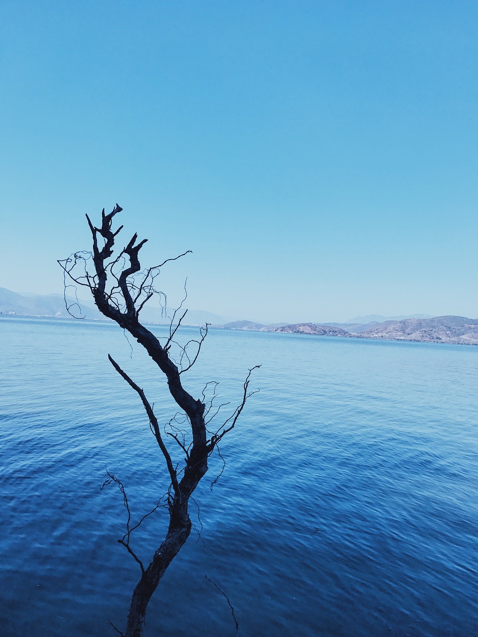 erhai lake in yunnan province double-gallery free photo