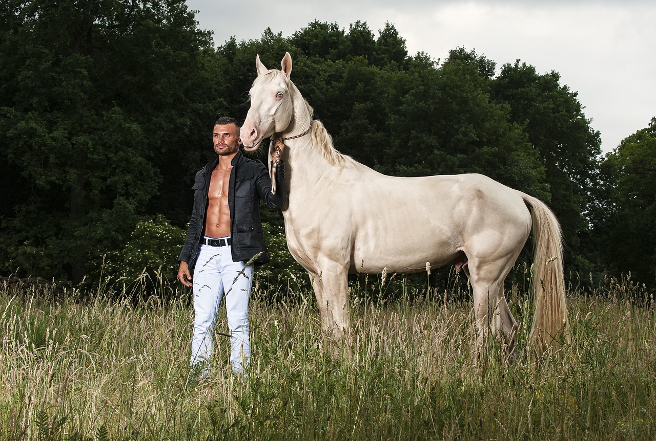 horse portrait eric krüger free photo