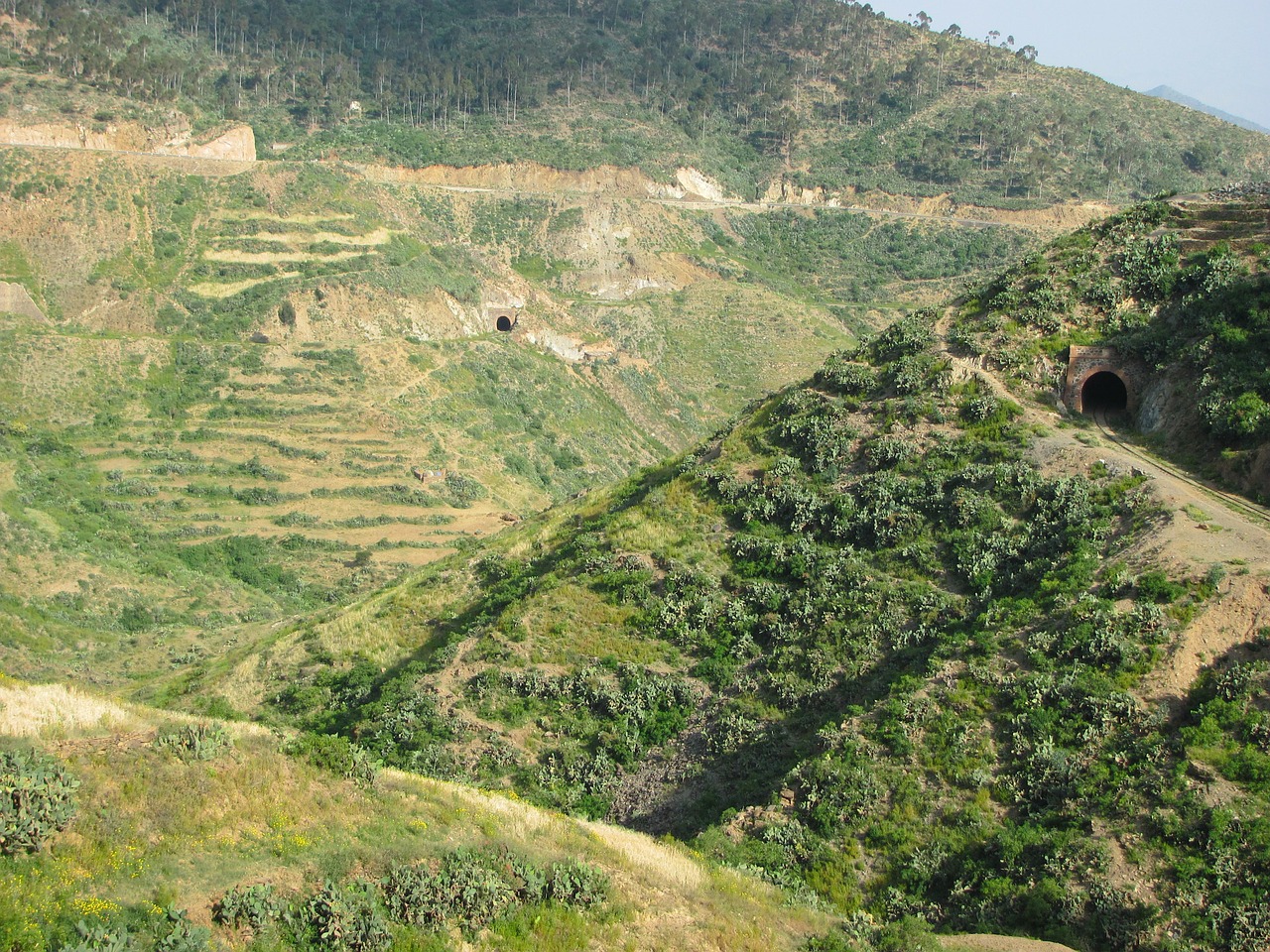 eritrea landscape valley free photo