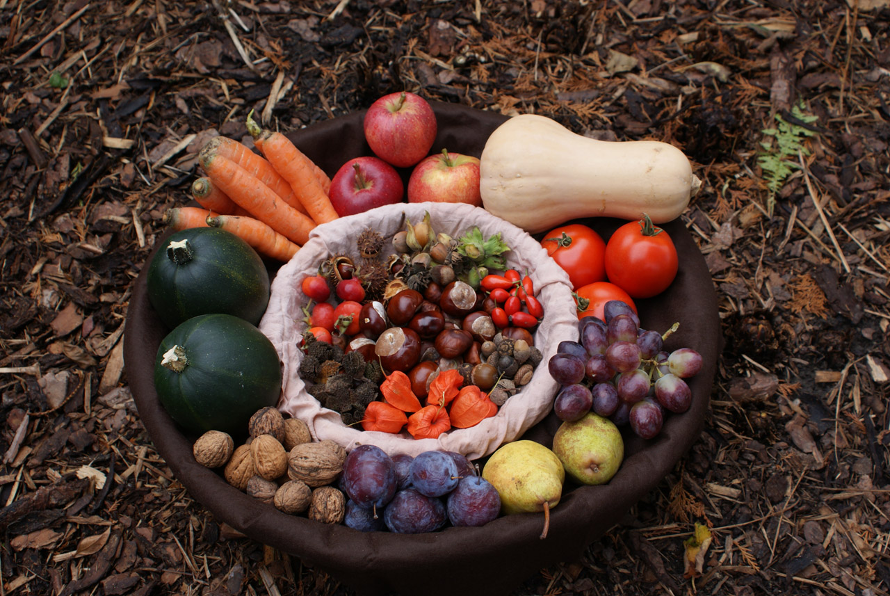 autumn basket harvest free photo
