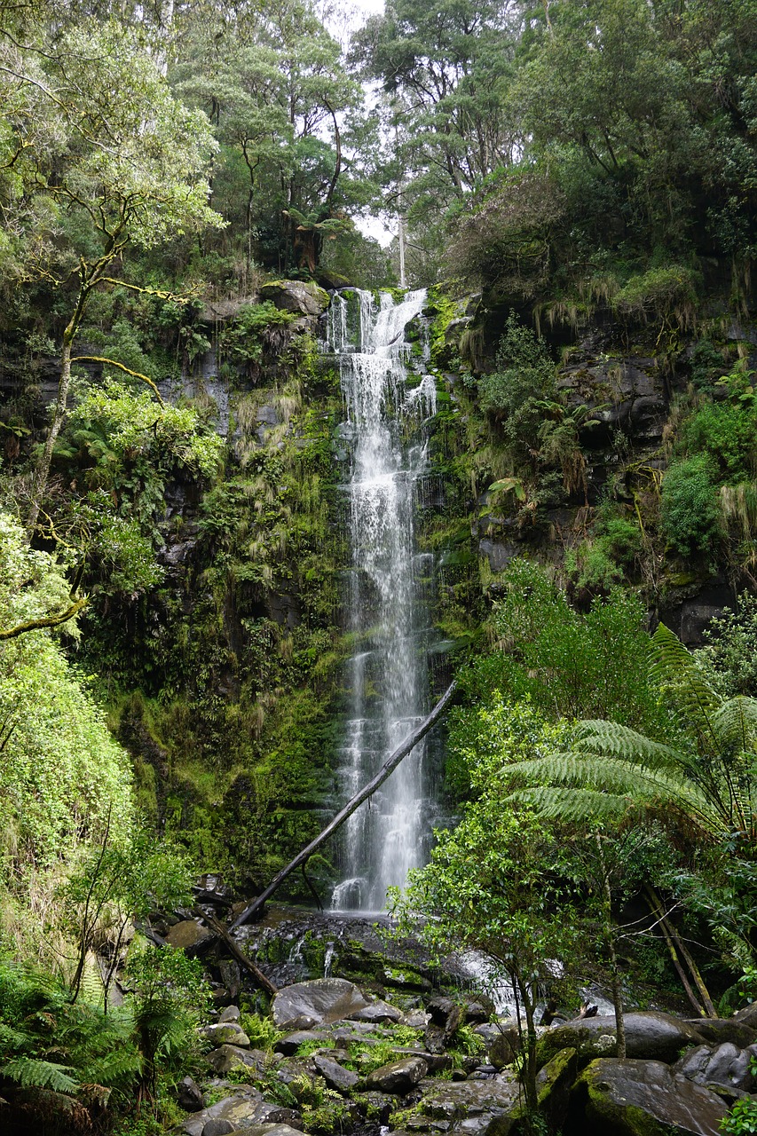 erskine falls ottways lorne free photo