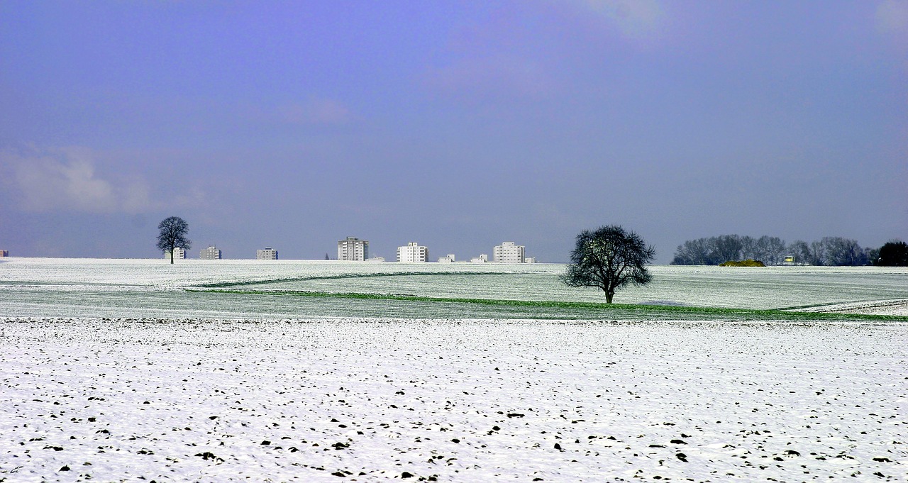 eschborn field winter free photo