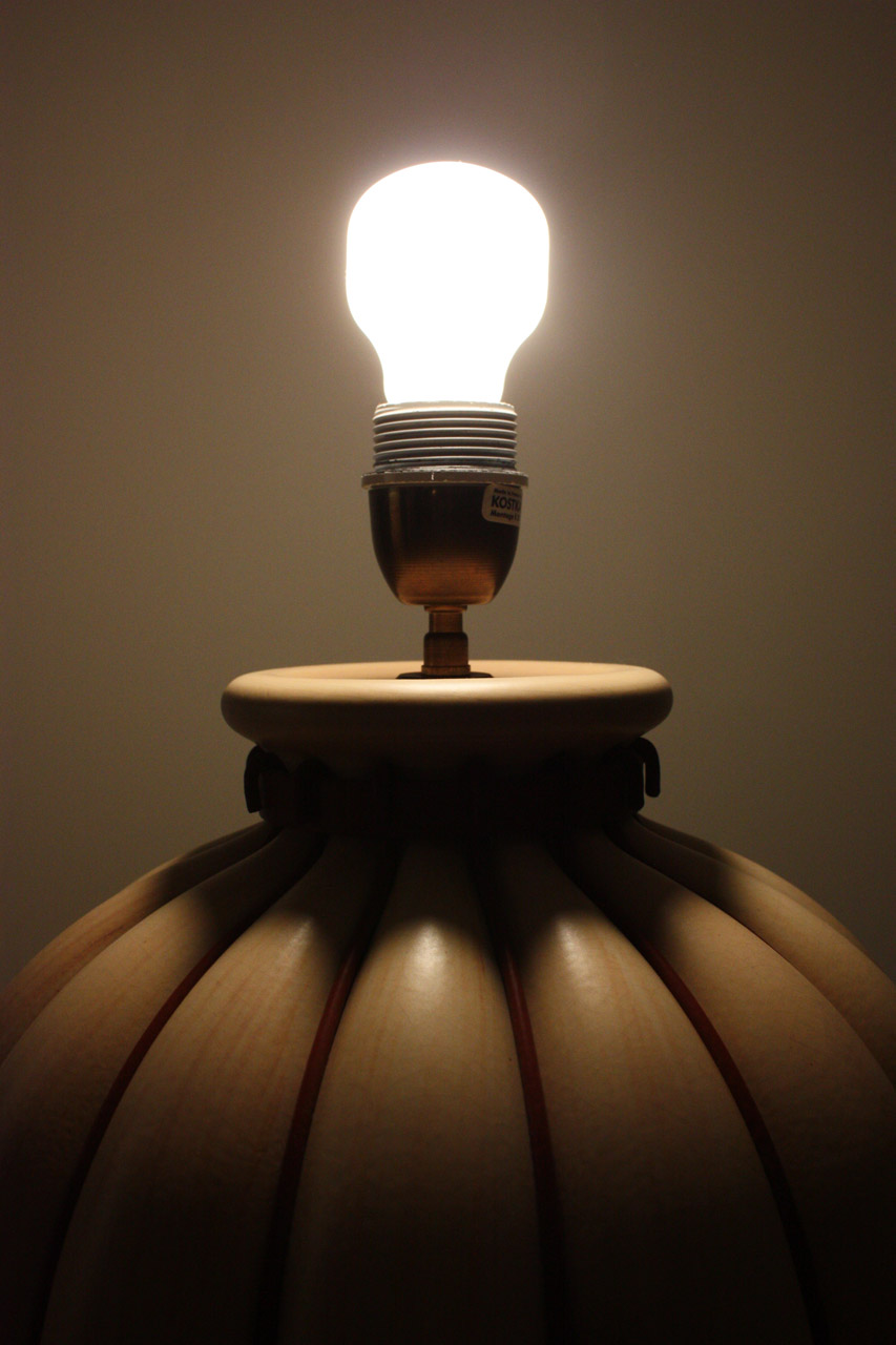 light bulb dark free photo