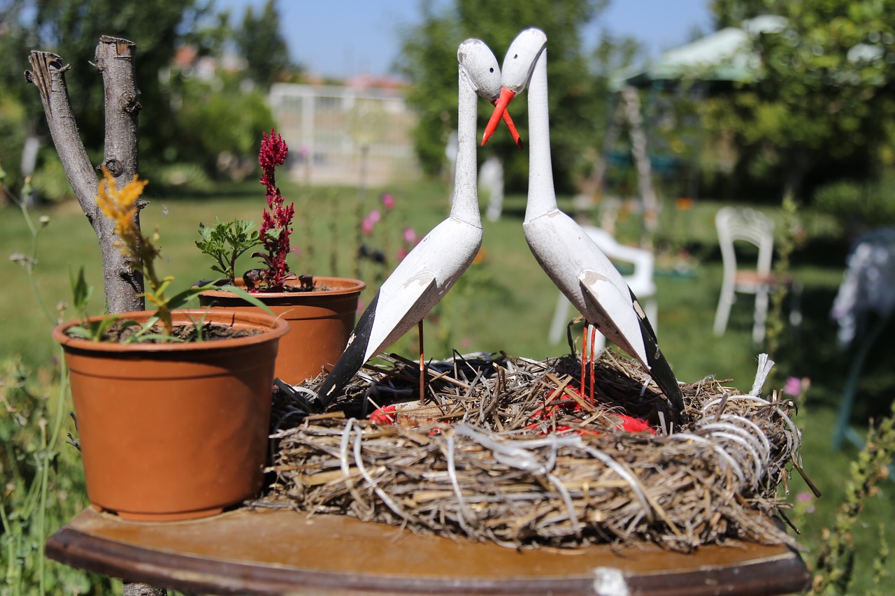 eskisehir turkey landscape garden free photo