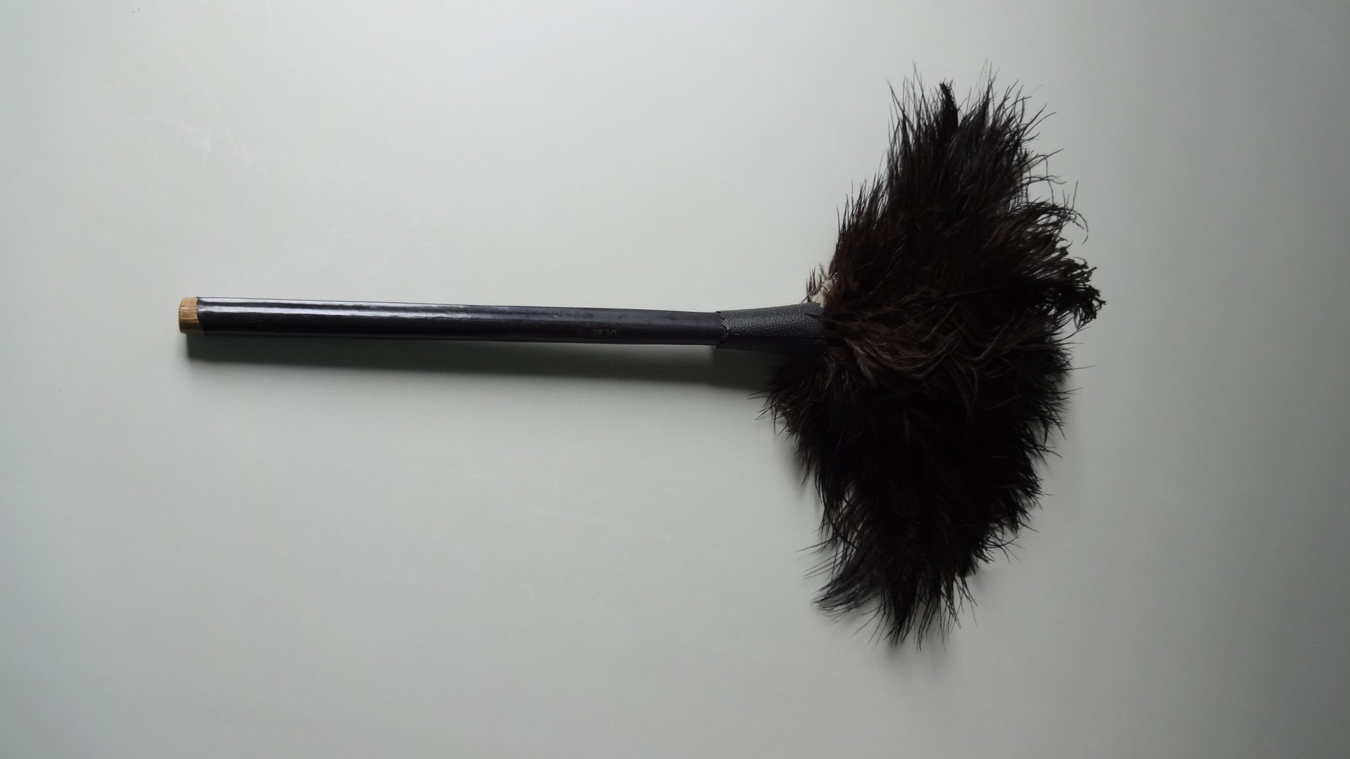 dust duster feather duster free photo