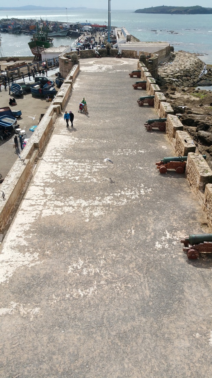 essaouira fishing port free photo