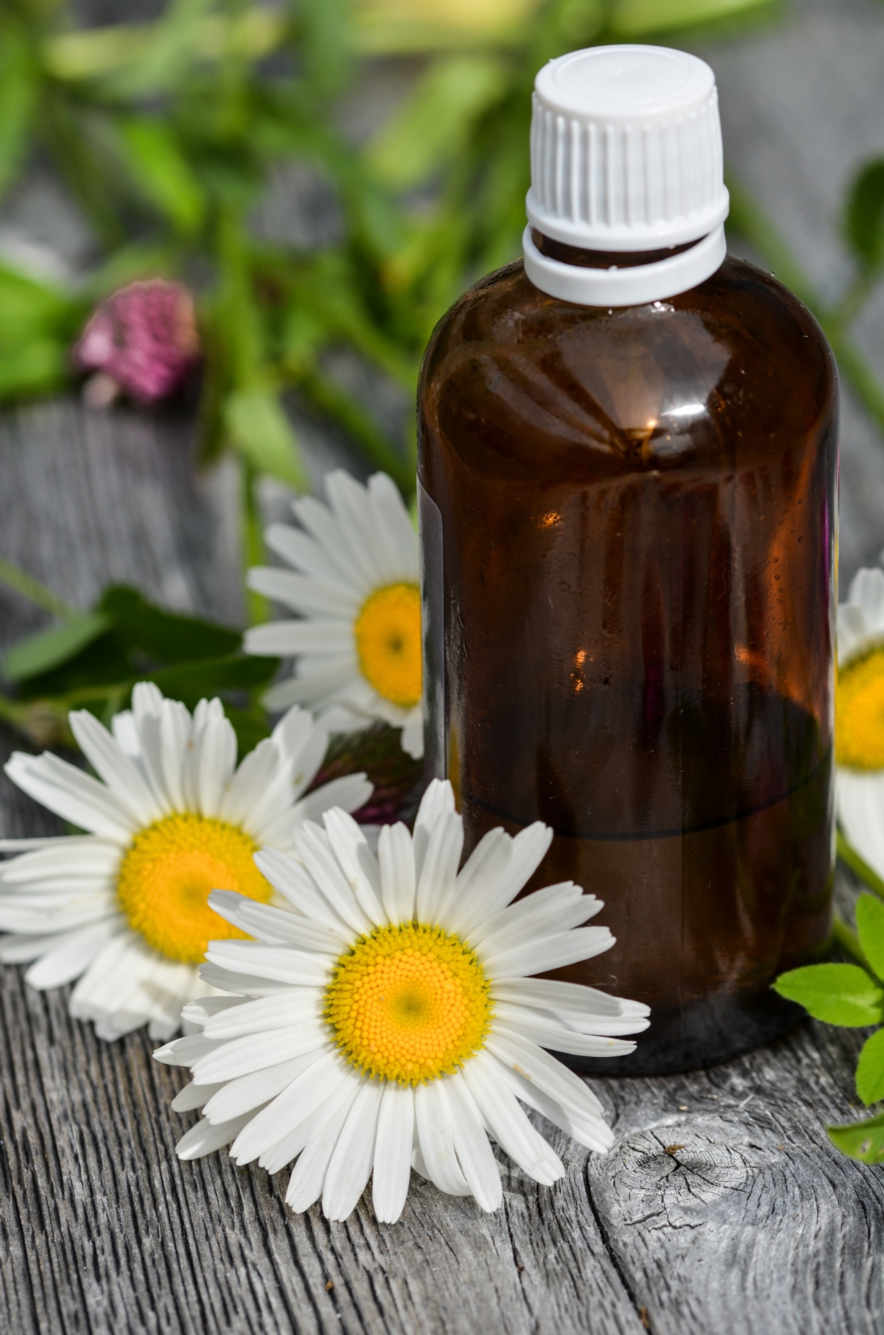 essential oils alternative aroma free photo
