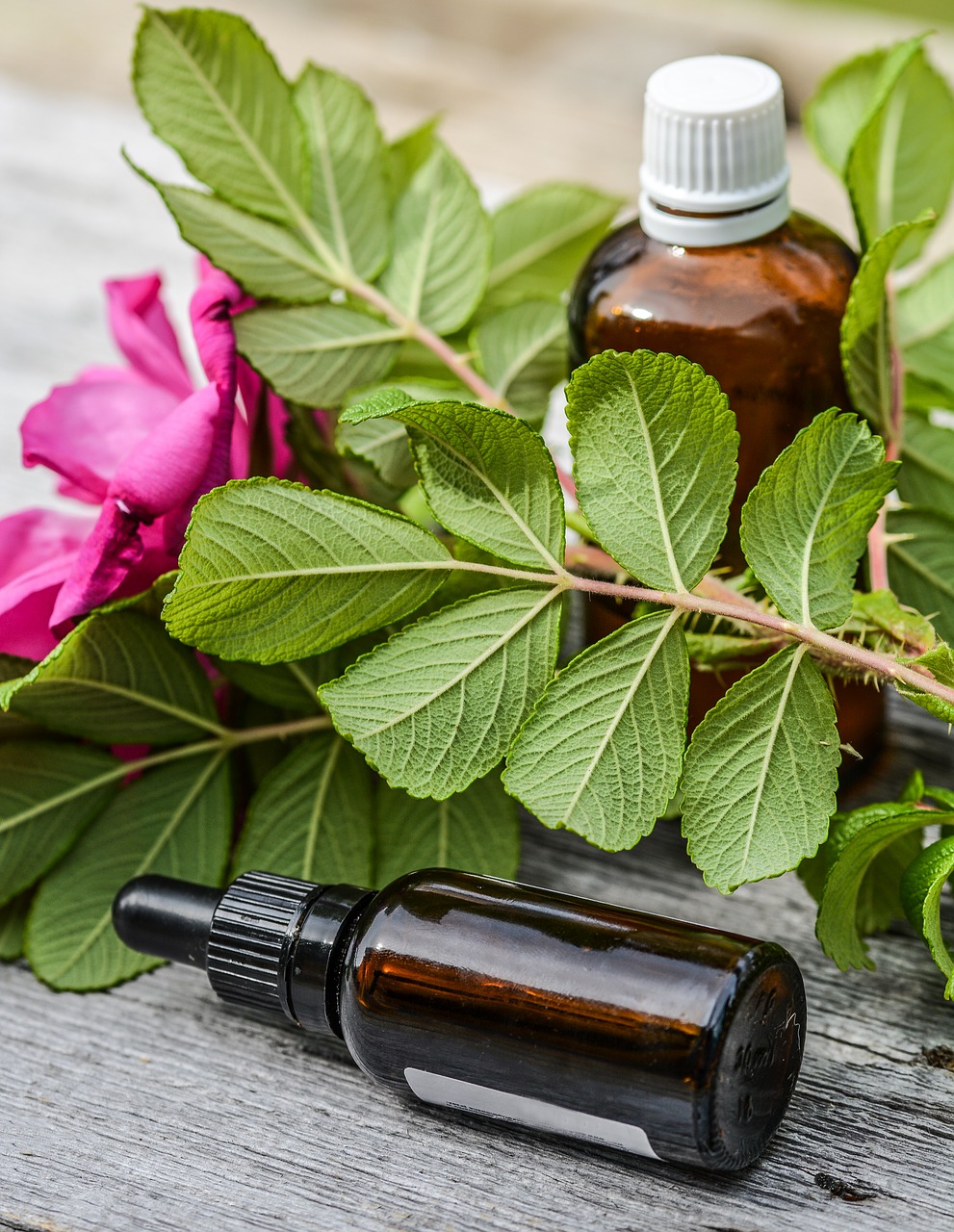 essential oils alternative aroma free photo