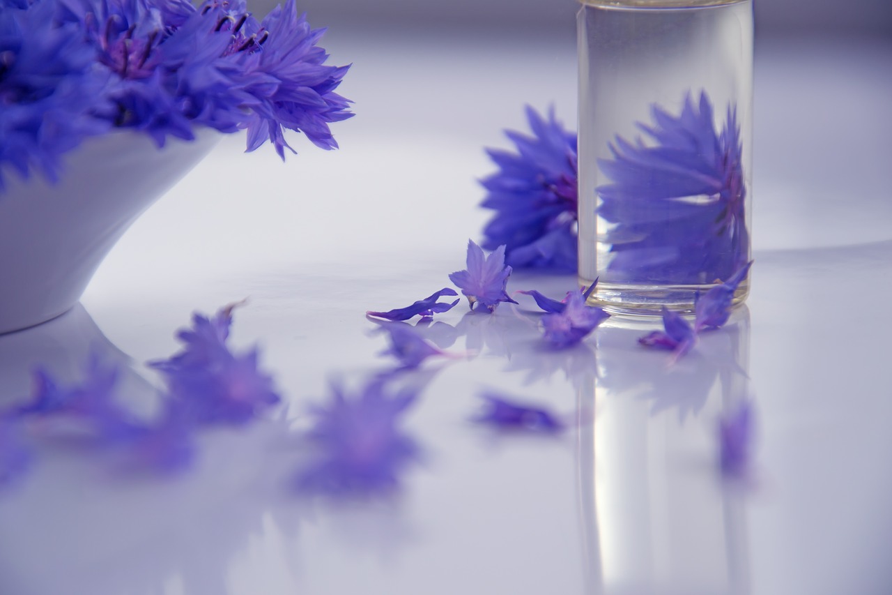 essential oils cosmetology flowers free photo