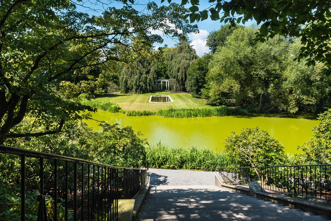 estate  stairs  murky pond free photo