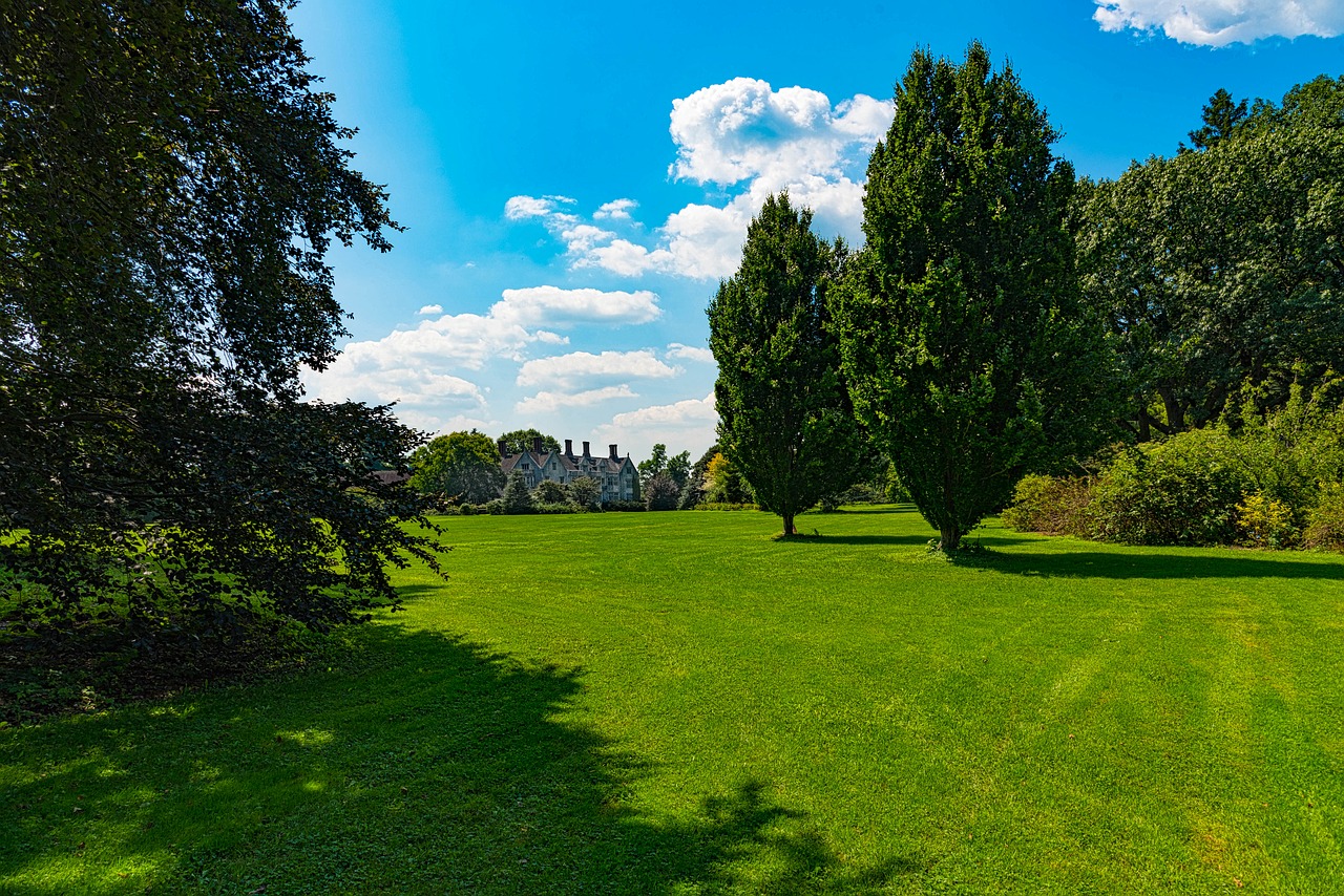 estate  open field  mansion free photo