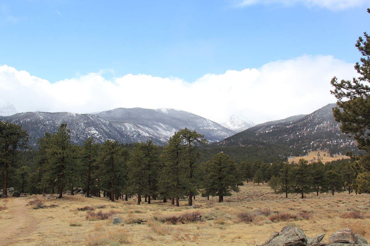 estes park  rocky mountains  snow free photo