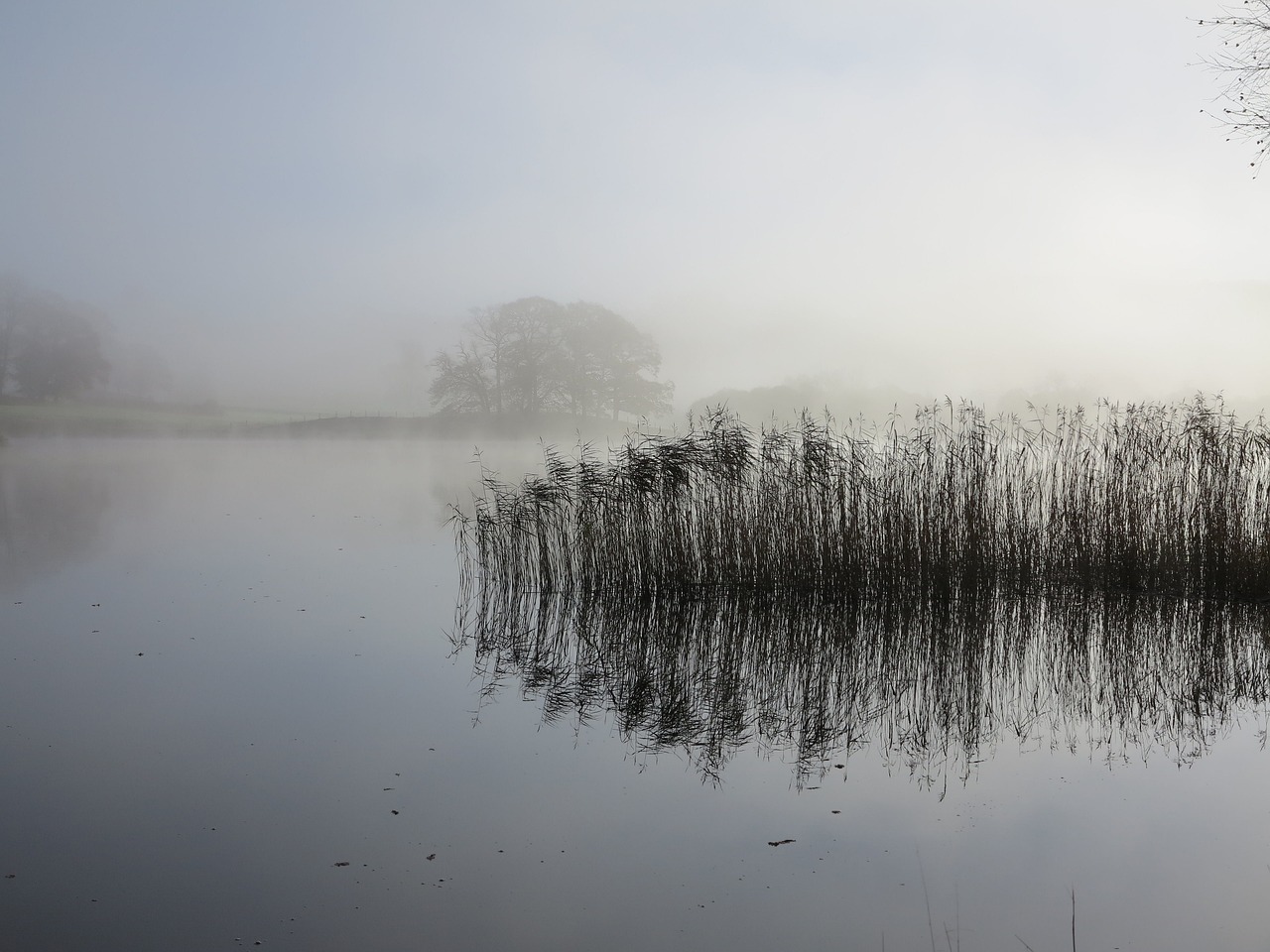 esthwaite lake district free photo