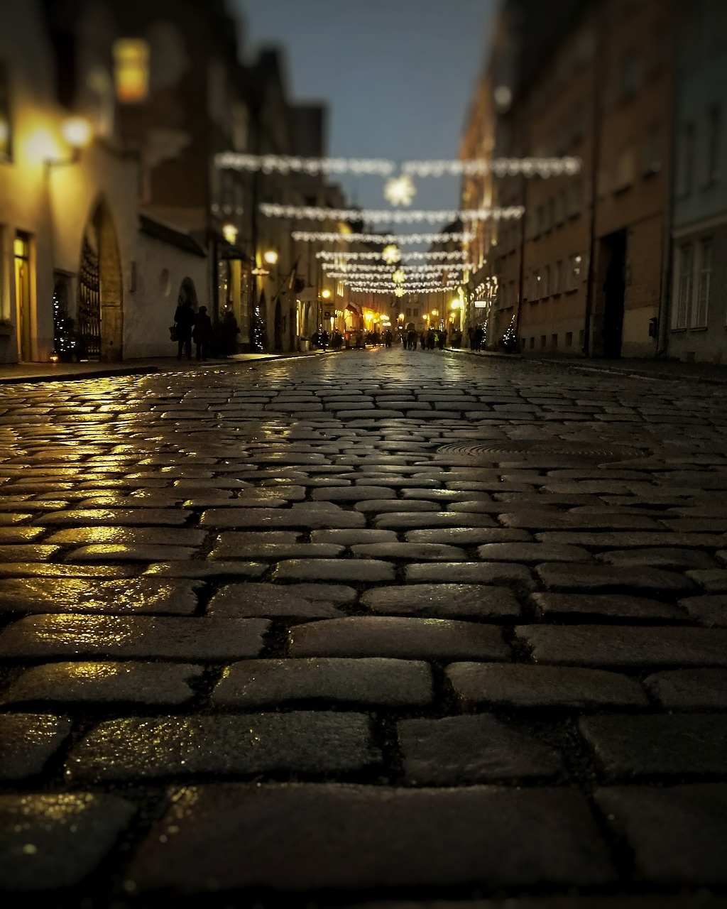 estonia night street free photo