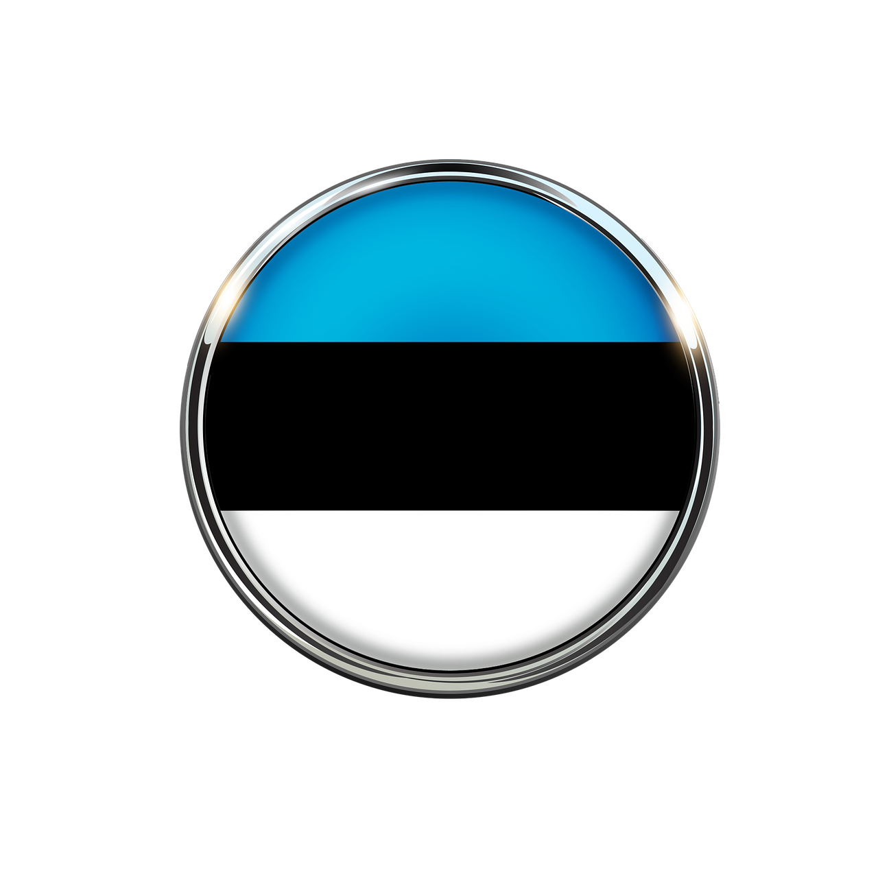 estonia country flag free photo