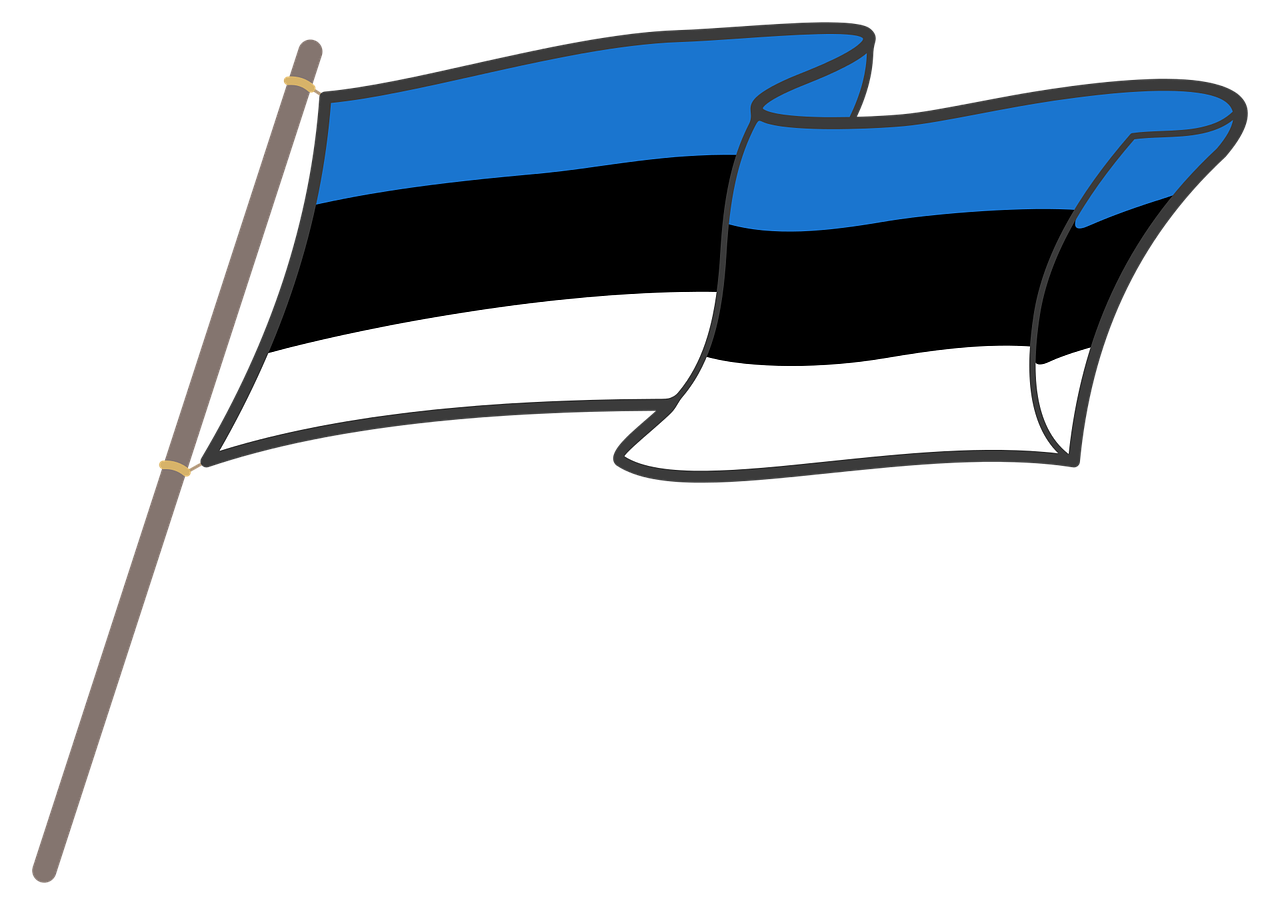 estonia flag graphics free photo