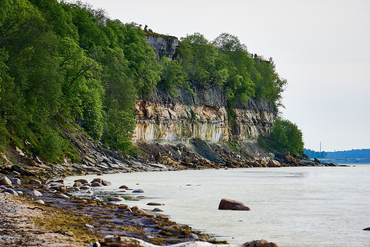 estonia baltic sea cliff free photo