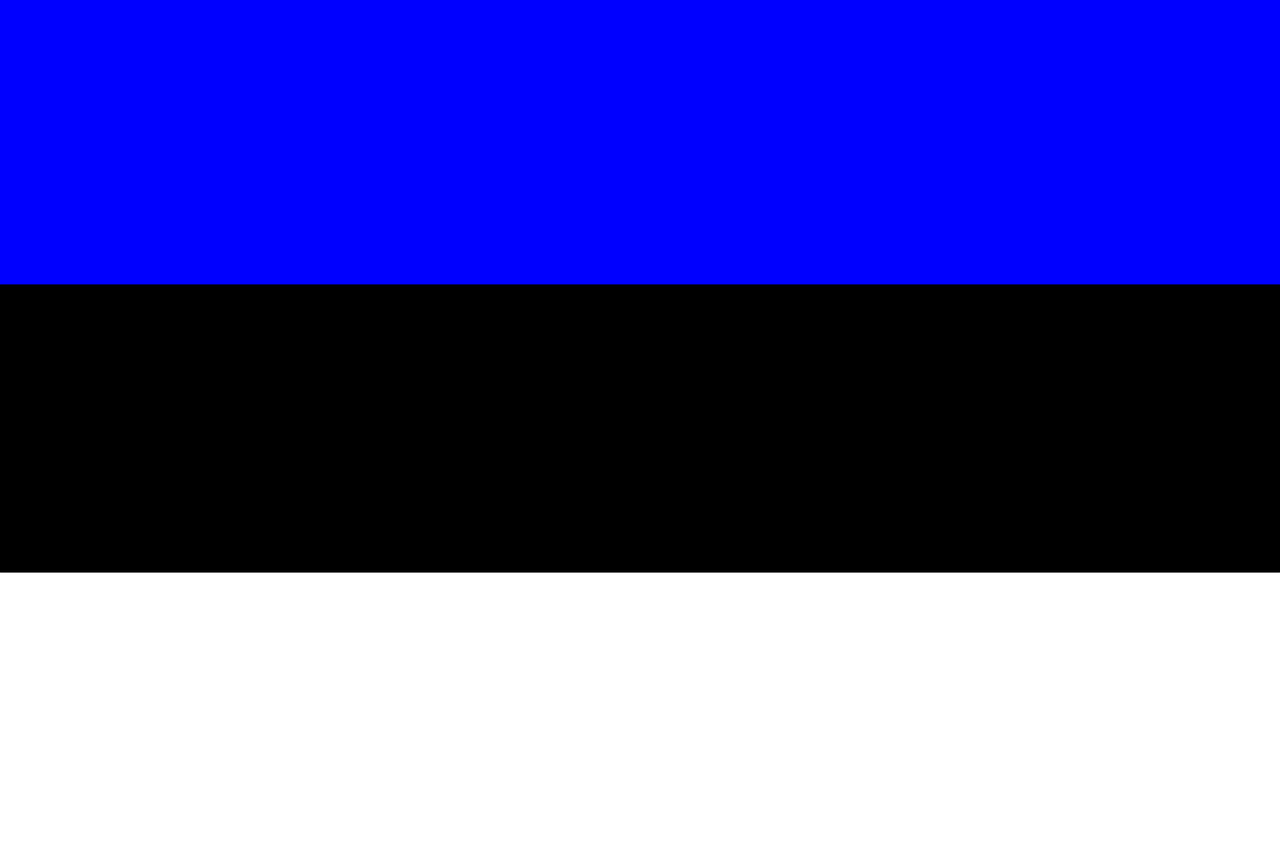 estonia flag national free photo