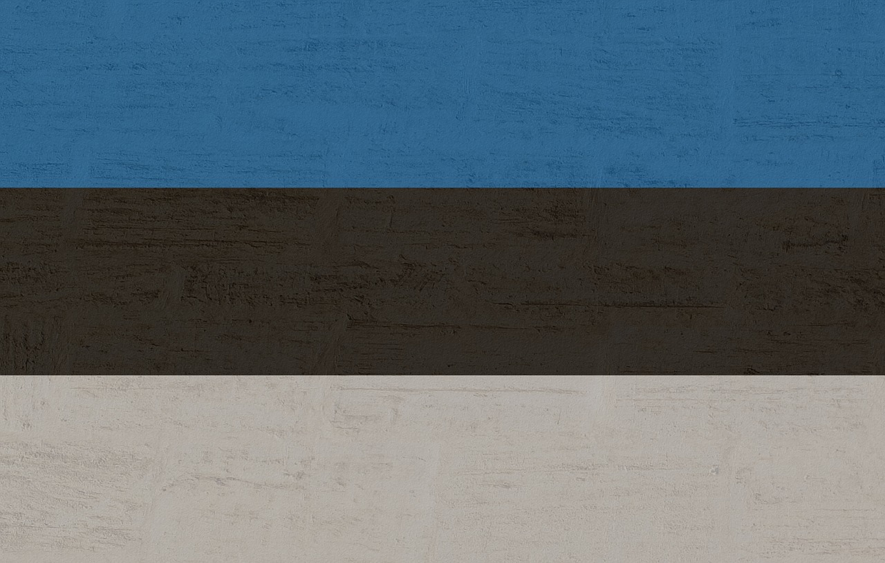 estonia flag international free photo