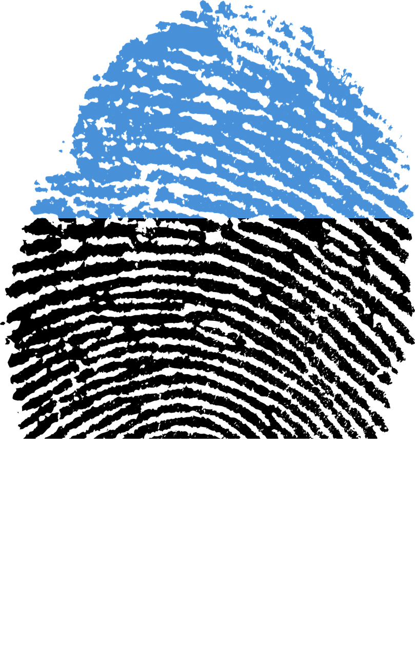 estonia flag fingerprint free photo