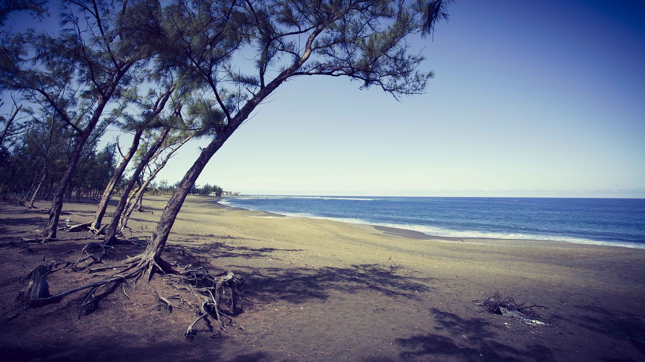 étang salé la réunion beach free photo