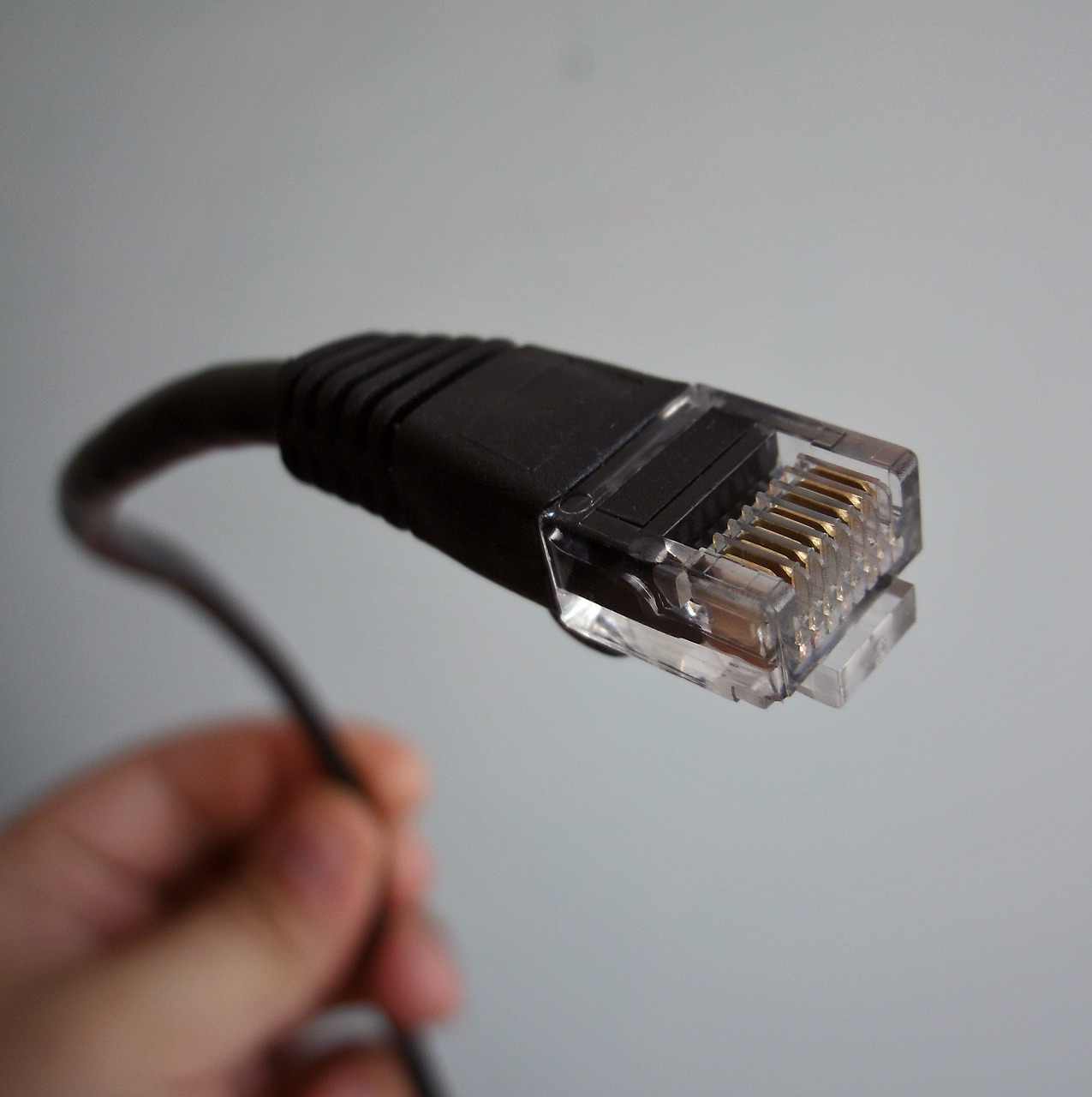 ethernet network cable networking free photo