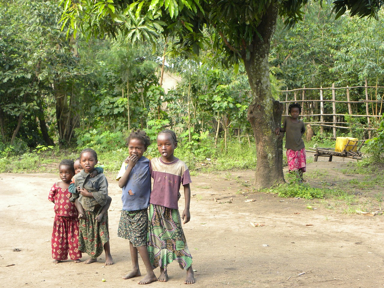 ethiopia children poverty free photo