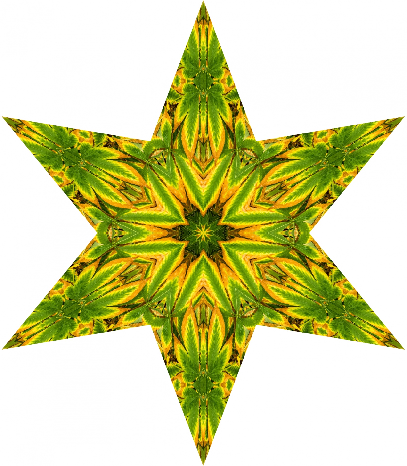 design autumn star free photo