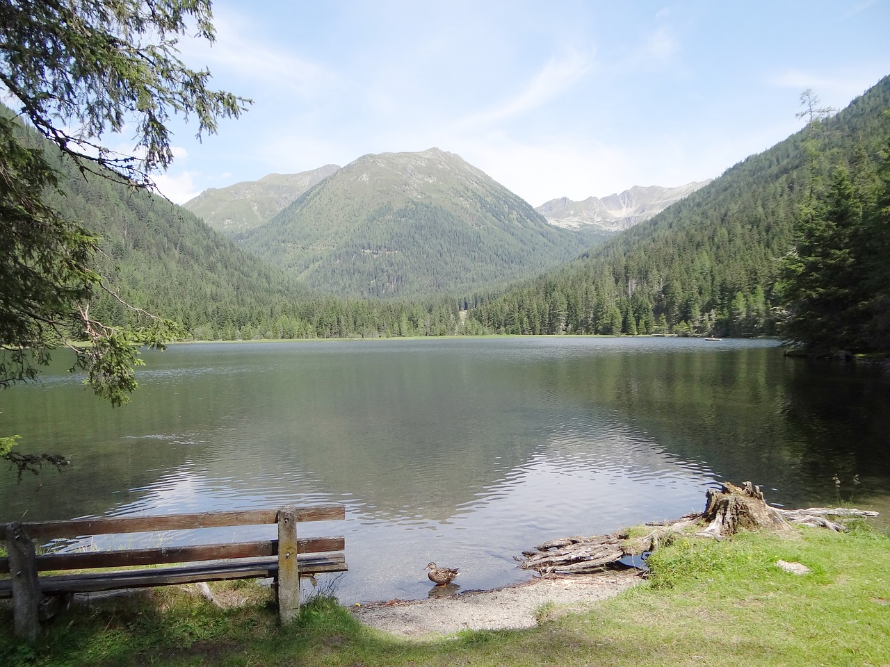 etrachsee  lake  mountains free photo