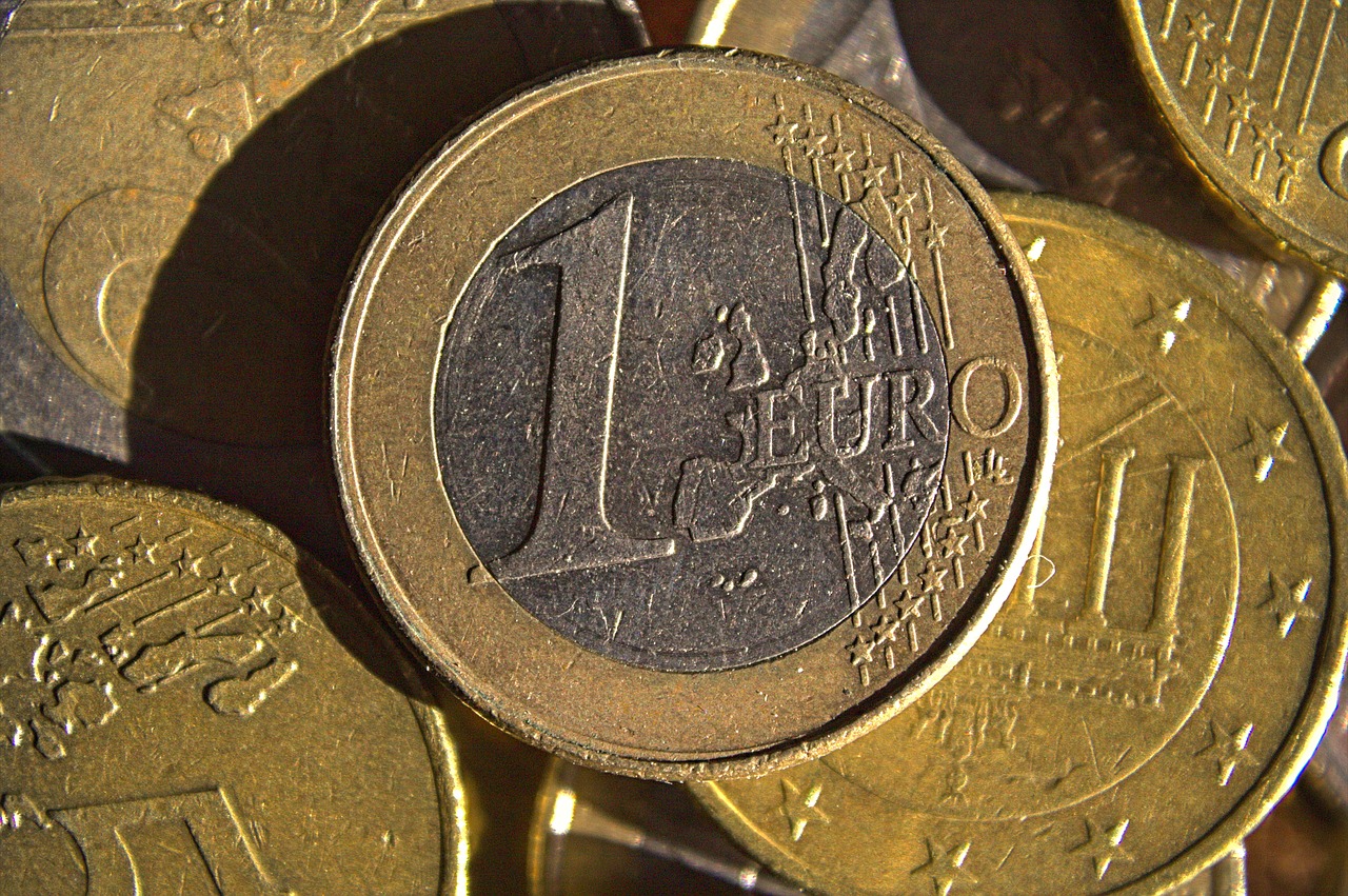 euro  coin  closeup free photo