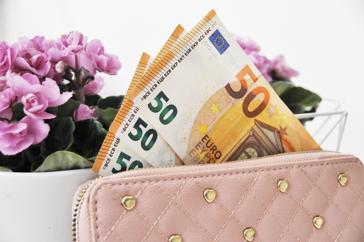 euro  cash  wallet free photo