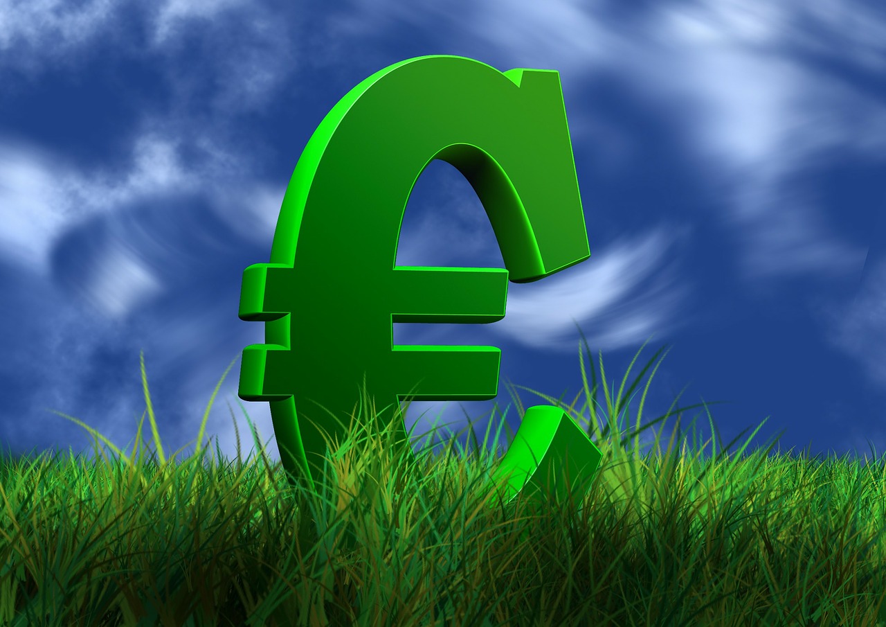 euro money currency free photo