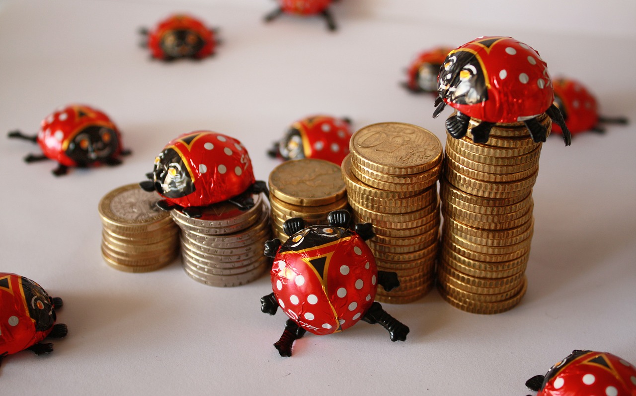 euro coins ladybug free photo