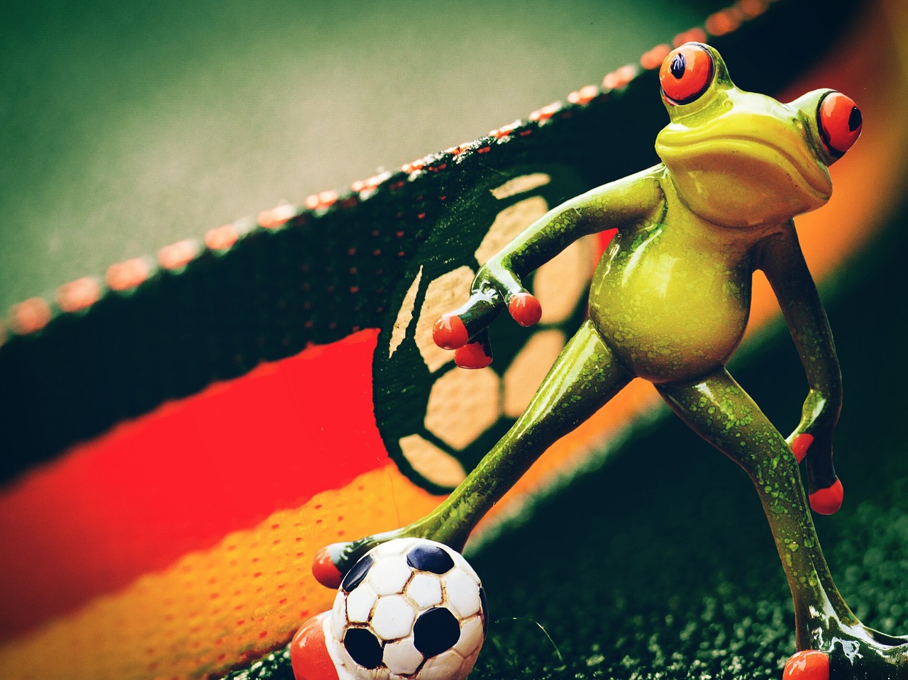 european championship frog football free photo
