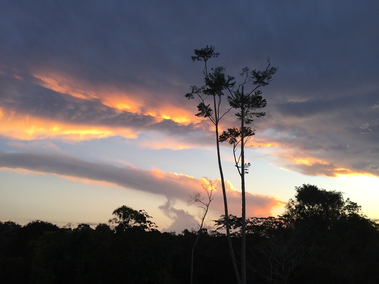 evening sky clouds free photo