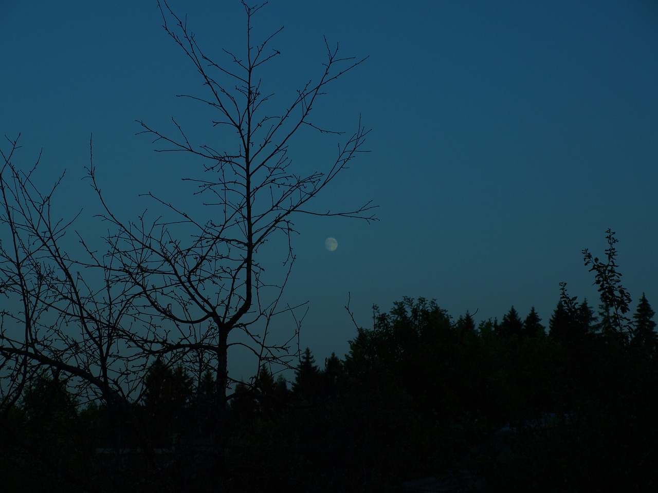 evening moon dark free photo